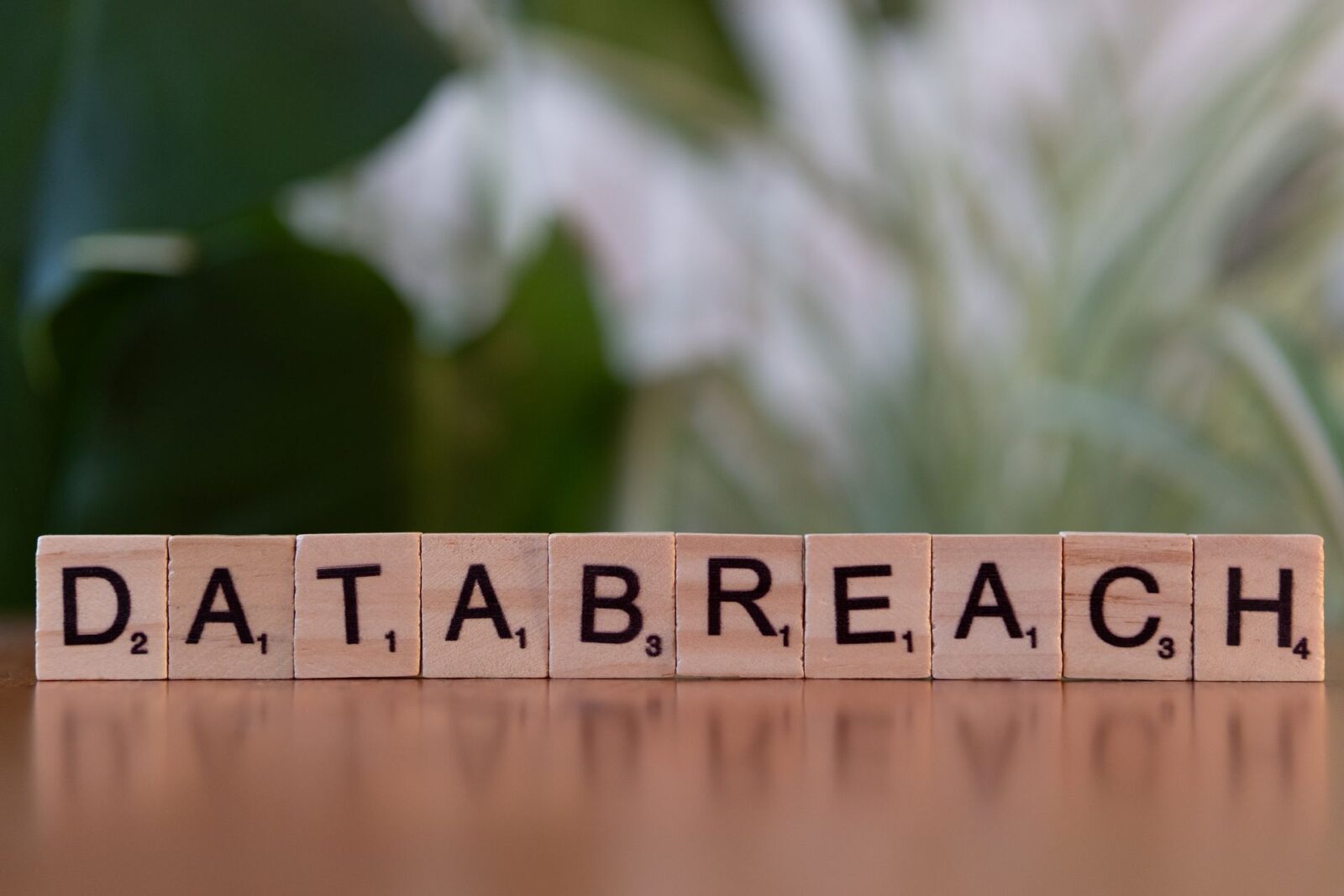 Tesserine di legno allineate su un tavolo compongono la scritta DATA BREACH, con piante verdi sfocate sullo sfondo